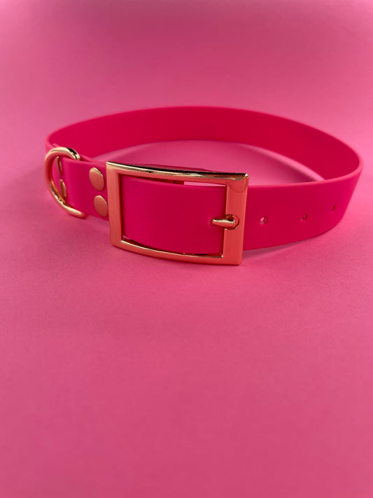 Collier biothane pour chien Light Or