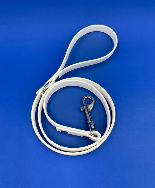 Laisse en biothane Argent