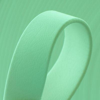 Collier biothane pour chien Vert Caraïbe