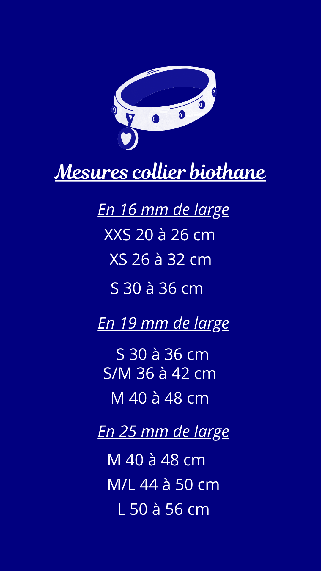 Collier biothane pour chien Bleu Lagune