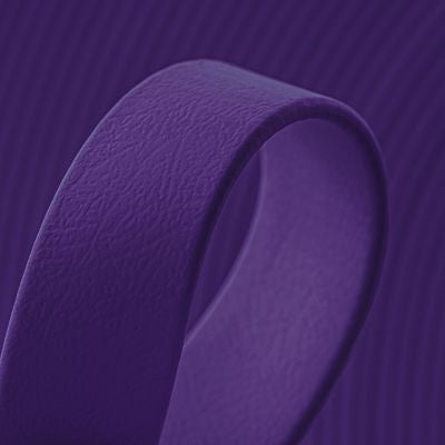 Laisse en biothane Violet