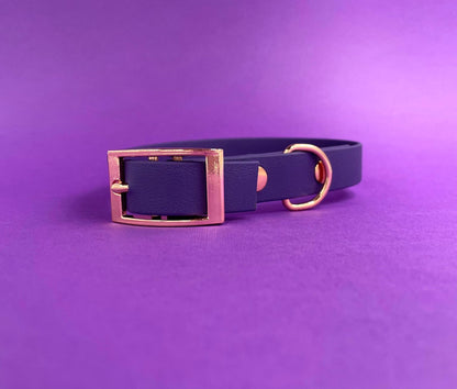 Collier biothane pour chien Violet