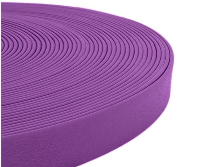 Longe en TPU pour chien Violet